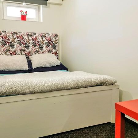 Ubytovani V Podhoubi Apartment Broumov Ngoại thất bức ảnh